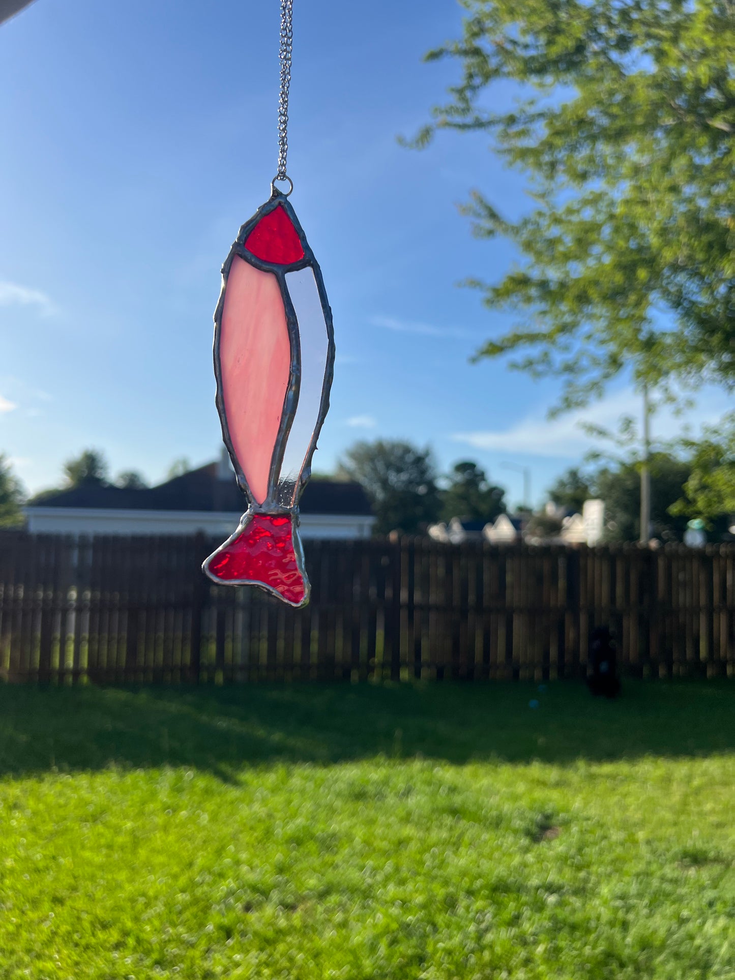 Fish