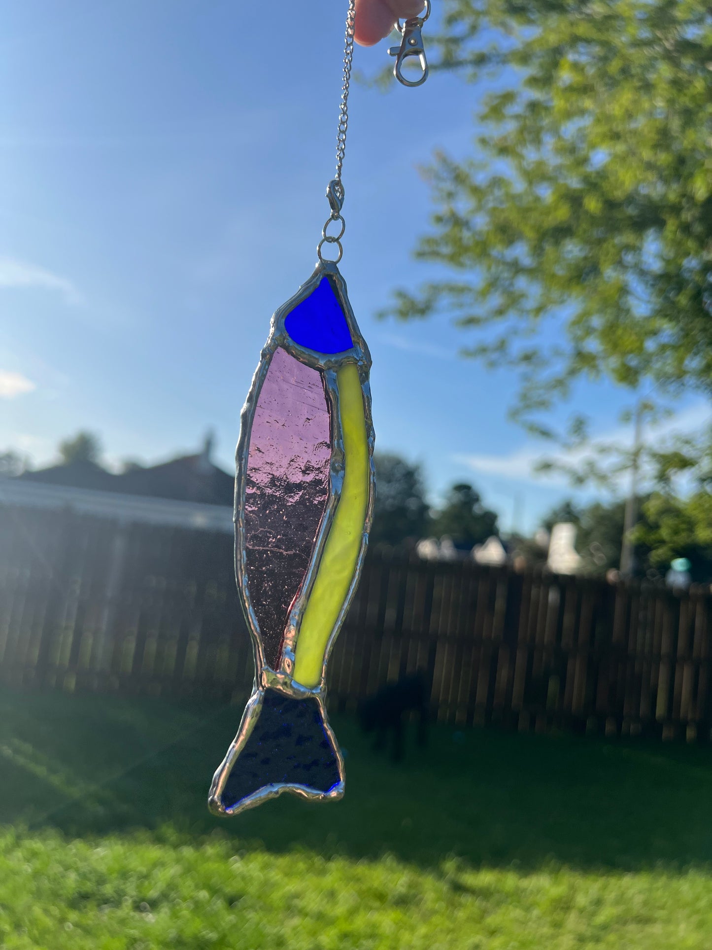 Fish