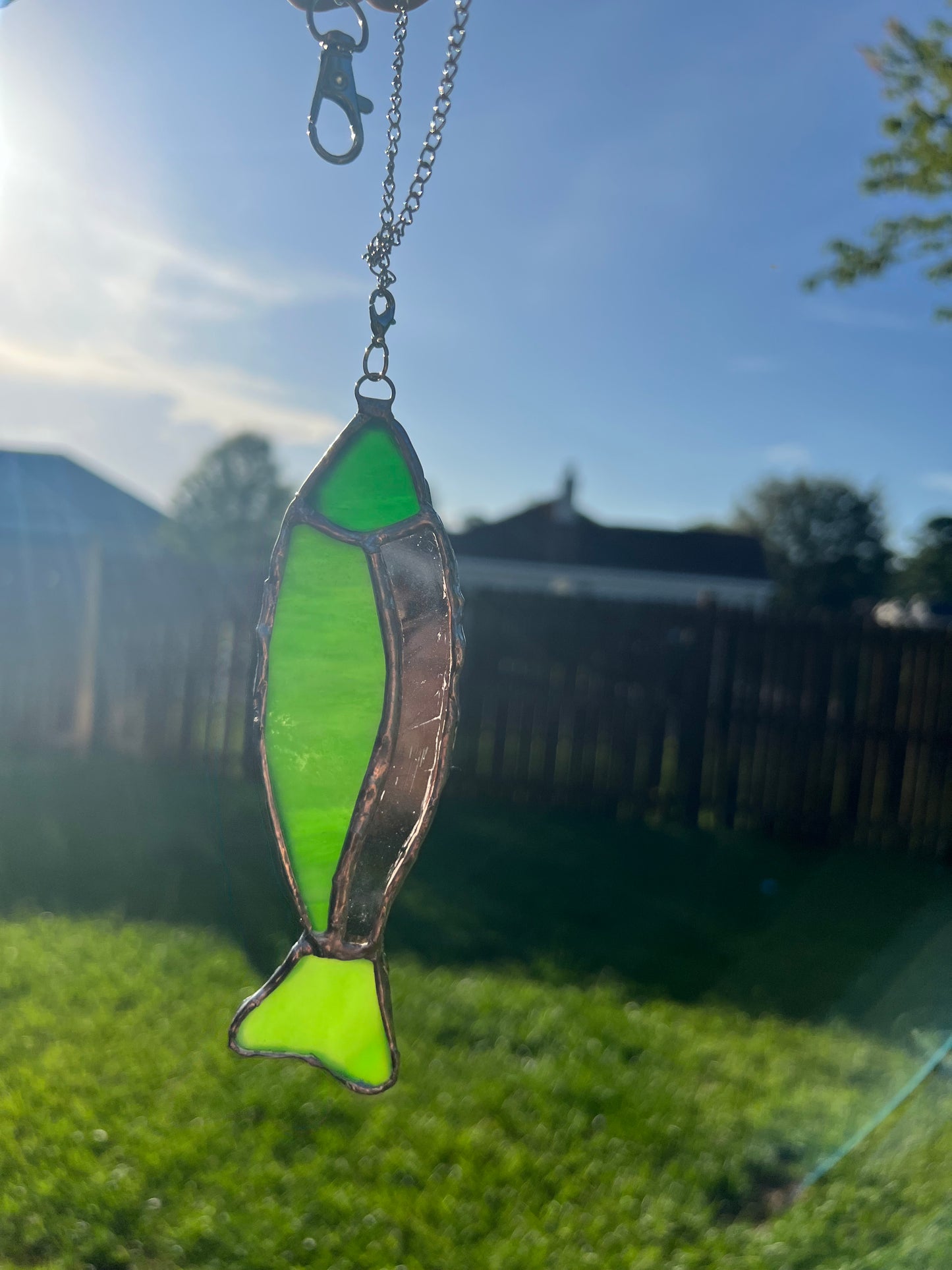 Fish