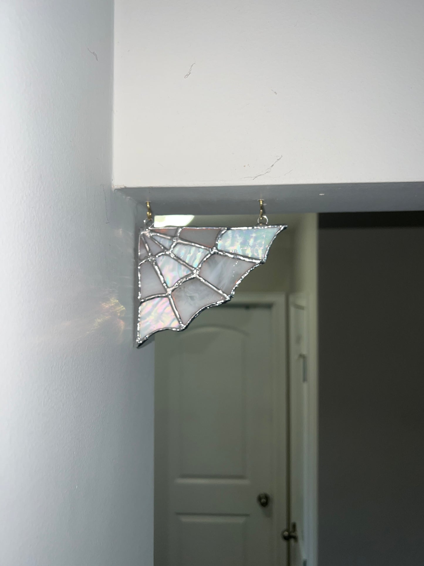 Web Daze