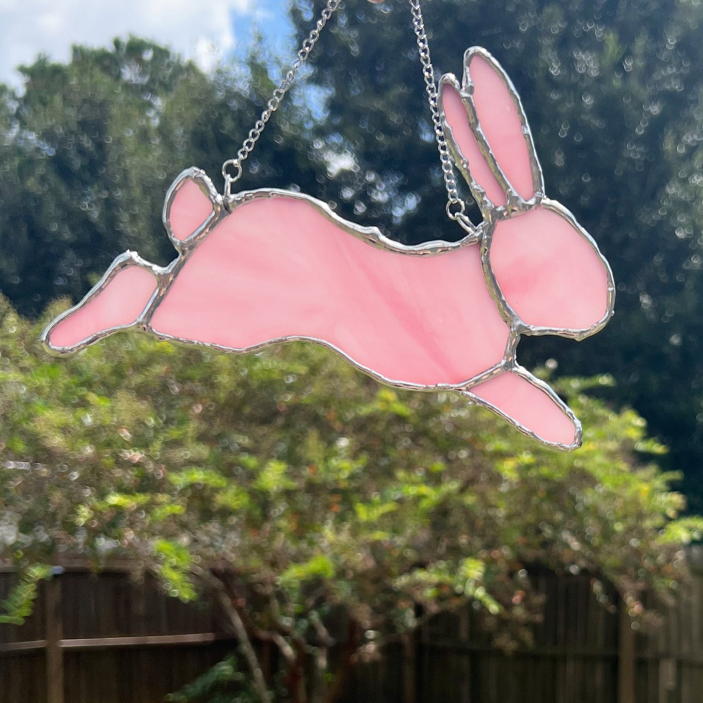 Bunnie